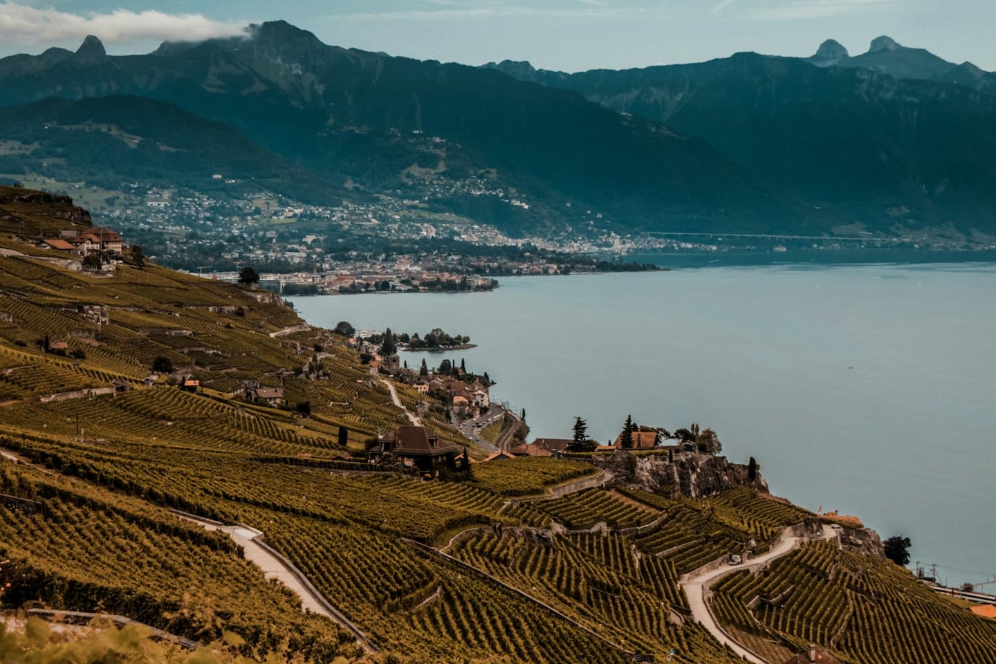 Vigneti a terrazze scendono verso un paese sul lago vicino alle montagne.