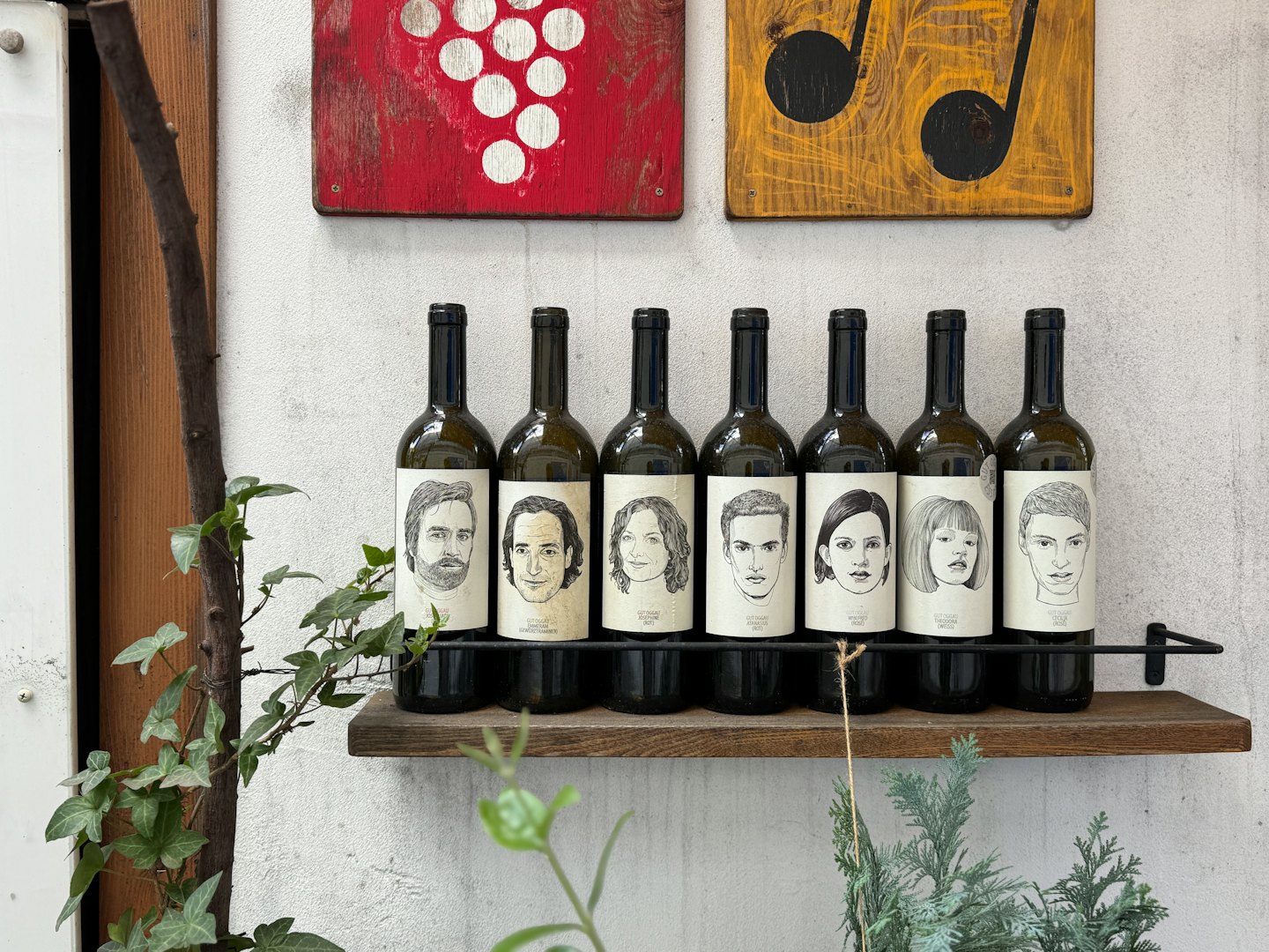 Sette bottiglie di vino con etichette illustrate sono su uno scaffale di legno.