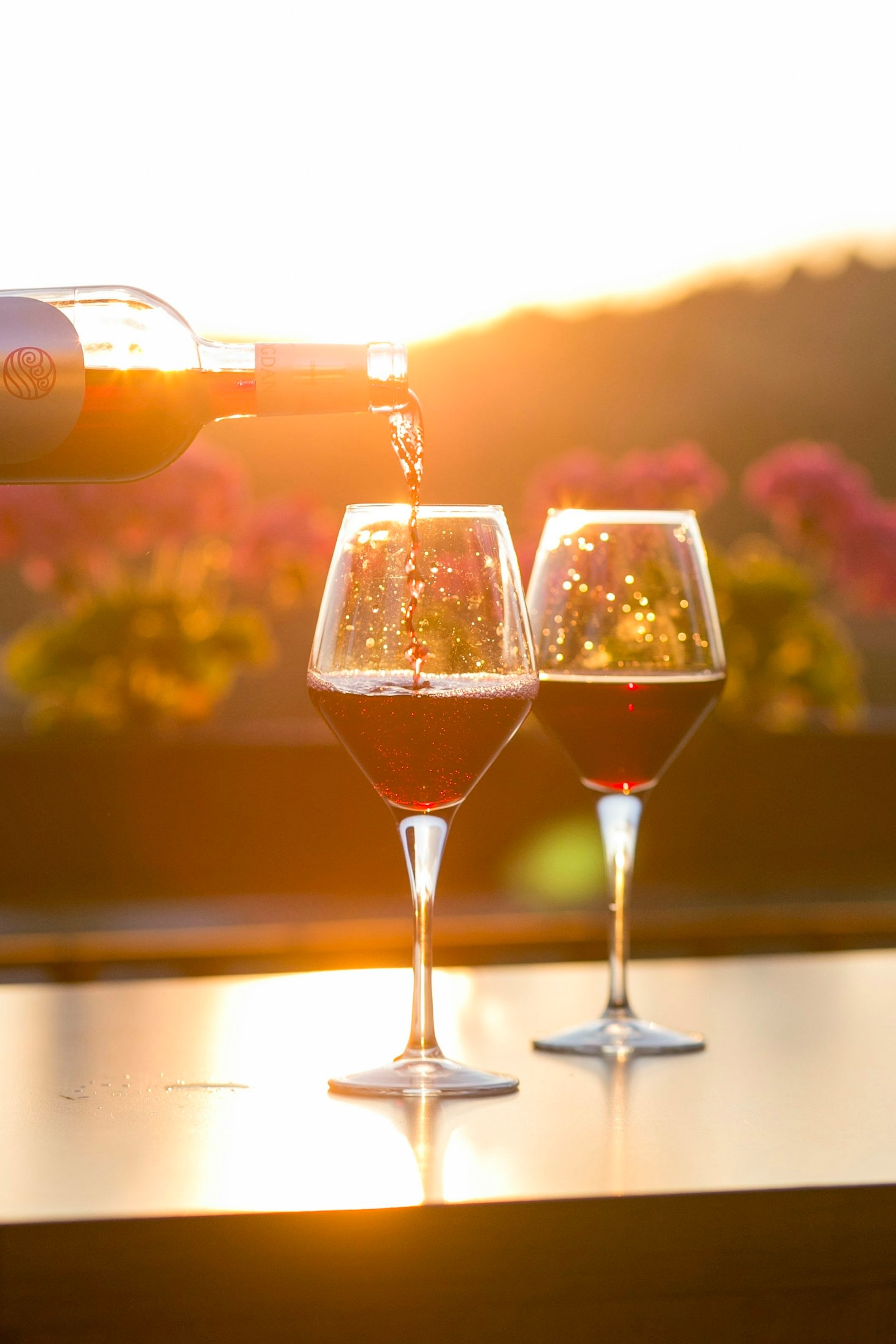Perché la Viticoltura Eroica Rende il Vino Davvero Unico