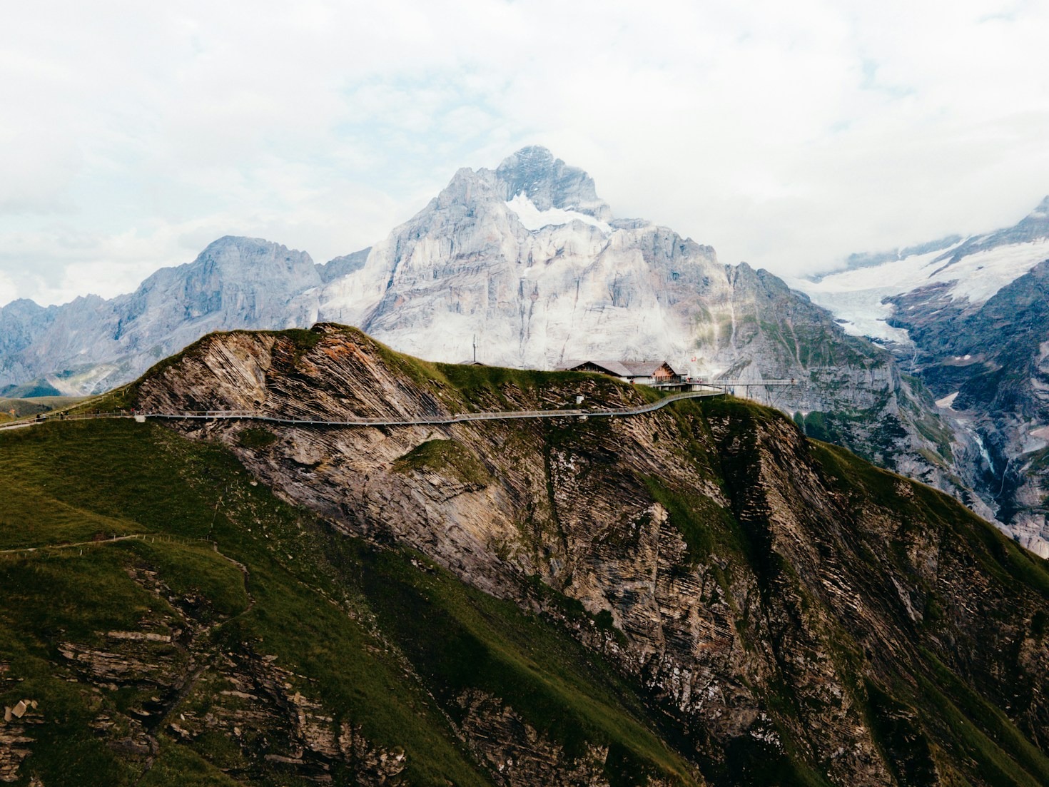 Vini Biologici di Montagna: Guida Completa alla Degustazione